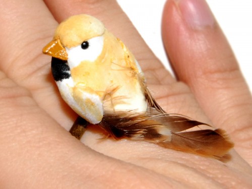 yellow-birdie-1