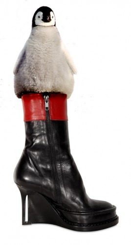 Ann-D-Penguin